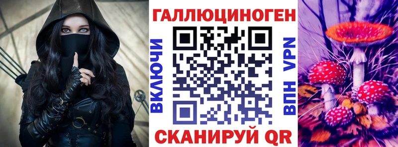 Псилоцибиновые грибы Cubensis  цена   Гай 