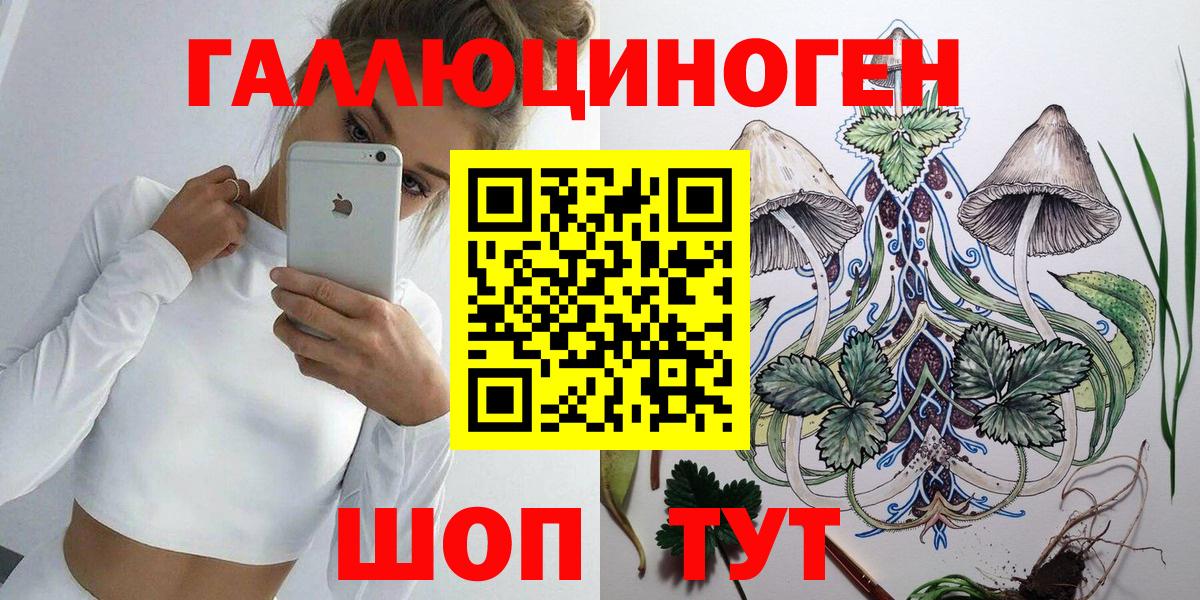 Псилоцибиновые грибы Cubensis Гай