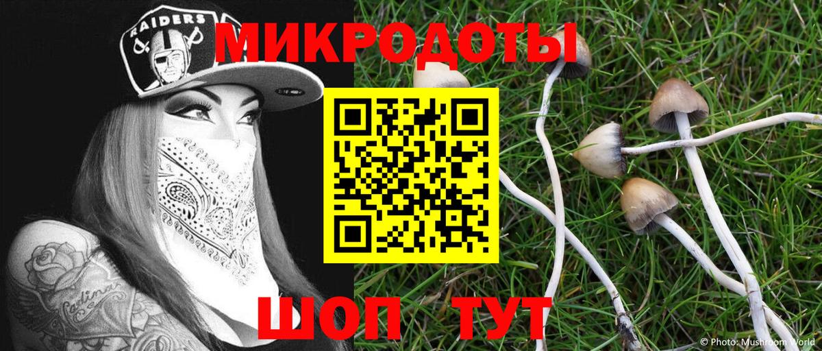 Галлюциногенные грибы GOLDEN TEACHER  Вход с VPN  Гай  Галлюциногенные грибы мухоморы 