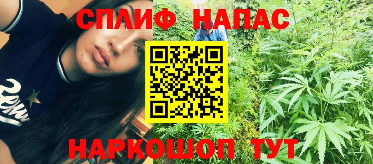 Каннабис тримм Гай
